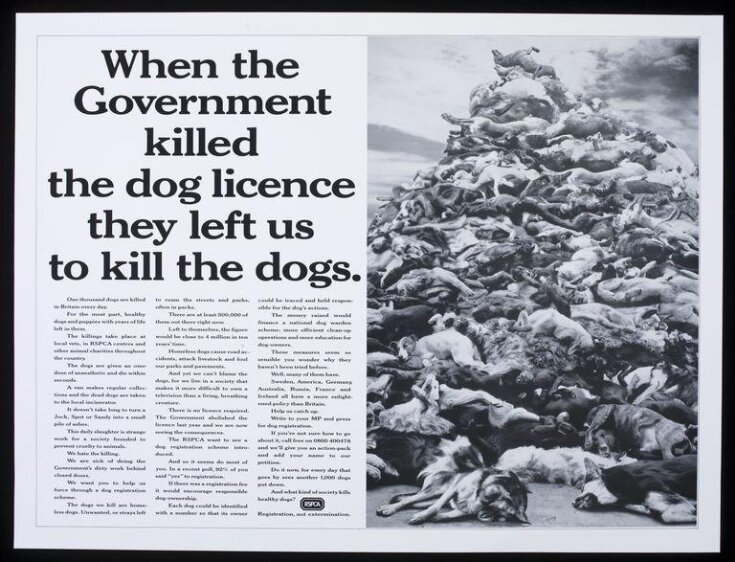 When the Government killed the dog licence image