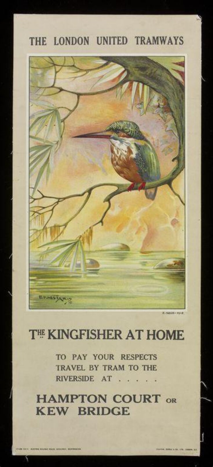 The Kingfisher At Home top image