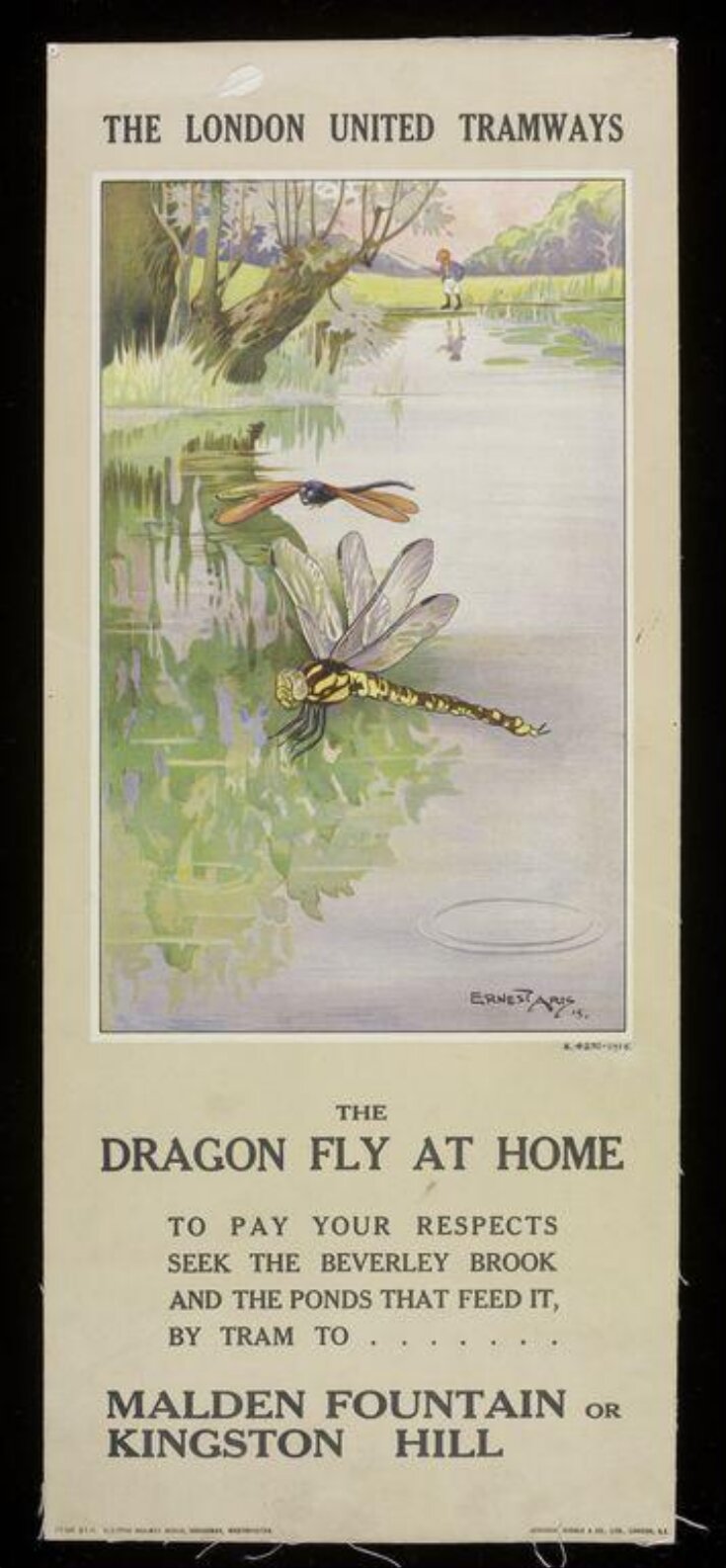 The Dragon Fly At Home image