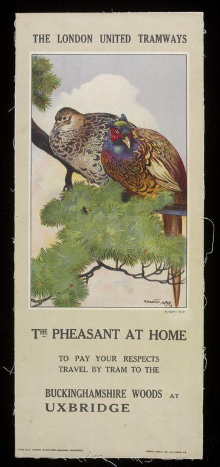 The Pheasant At Home image
