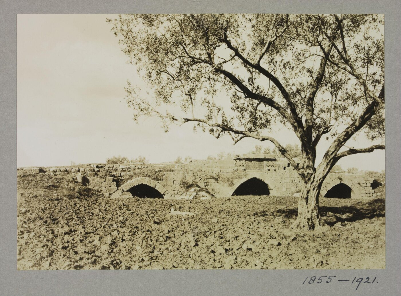 K.A.C. Creswell, Photograph