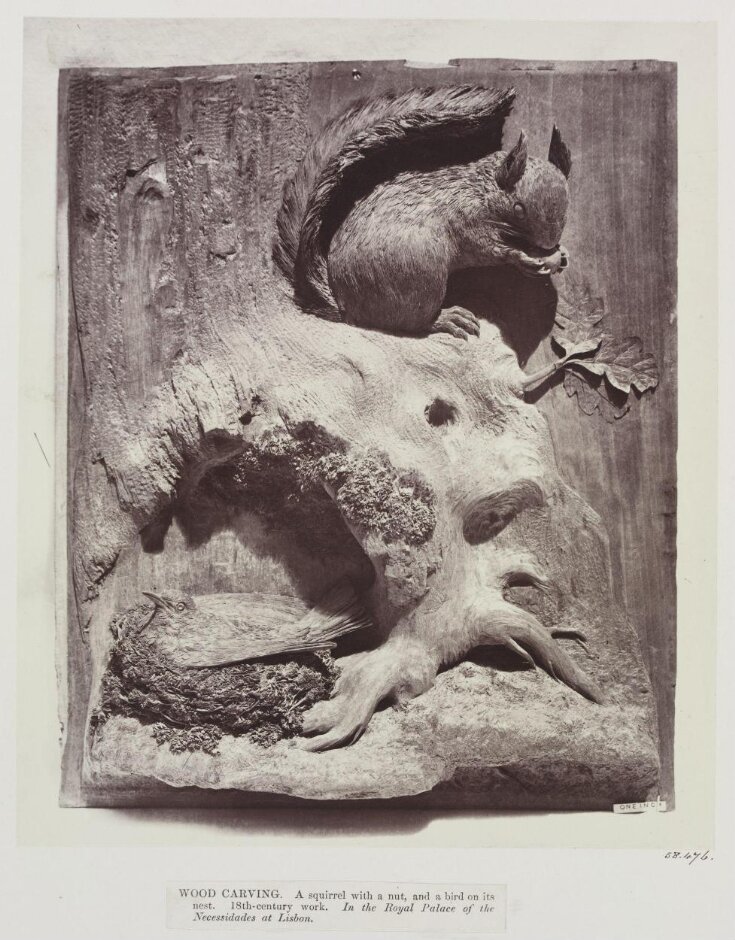 Wood carving, squirrel with nut, Palace of Necessidades, Lisbon top image