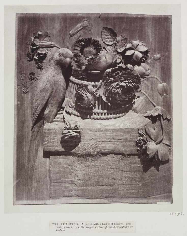 Wood Carving, parrot with flowers, Palace of Necessidades, Lisbon top image