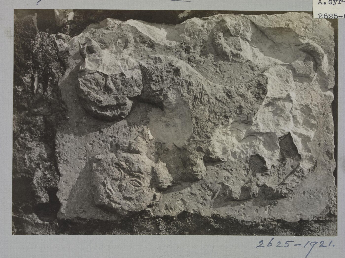 K.A.C. Creswell, Photograph