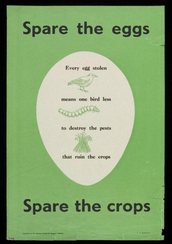 Spare the eggs Spare the crops