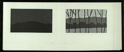 Seven computer landscapes