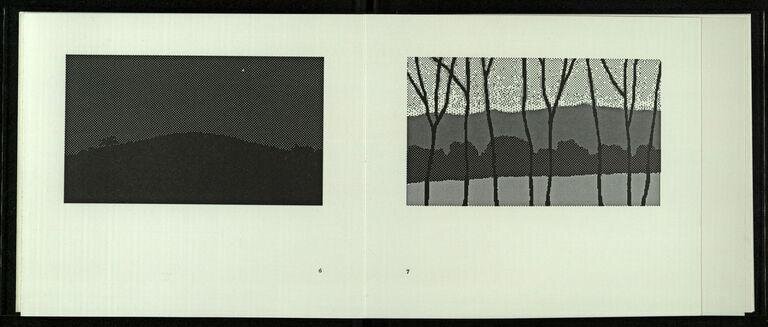 Seven computer landscapes