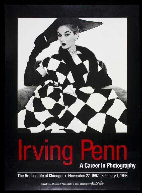 Irving Penn A Career in Photography