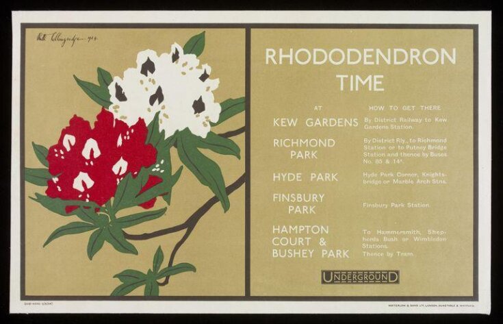Rhododendron Time top image