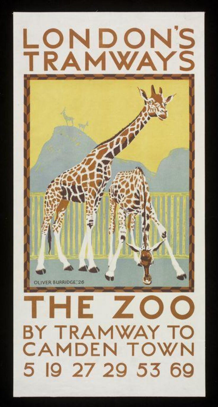 The Zoo By Tramway To Camden Town image