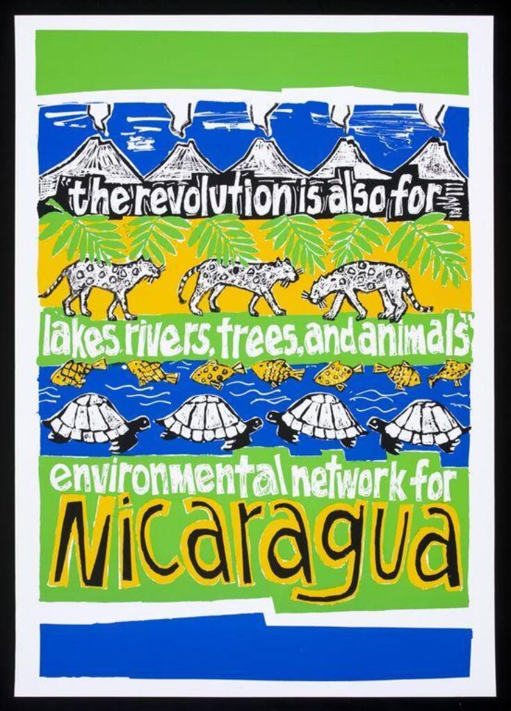 Environmental Network for Nicaragua image
