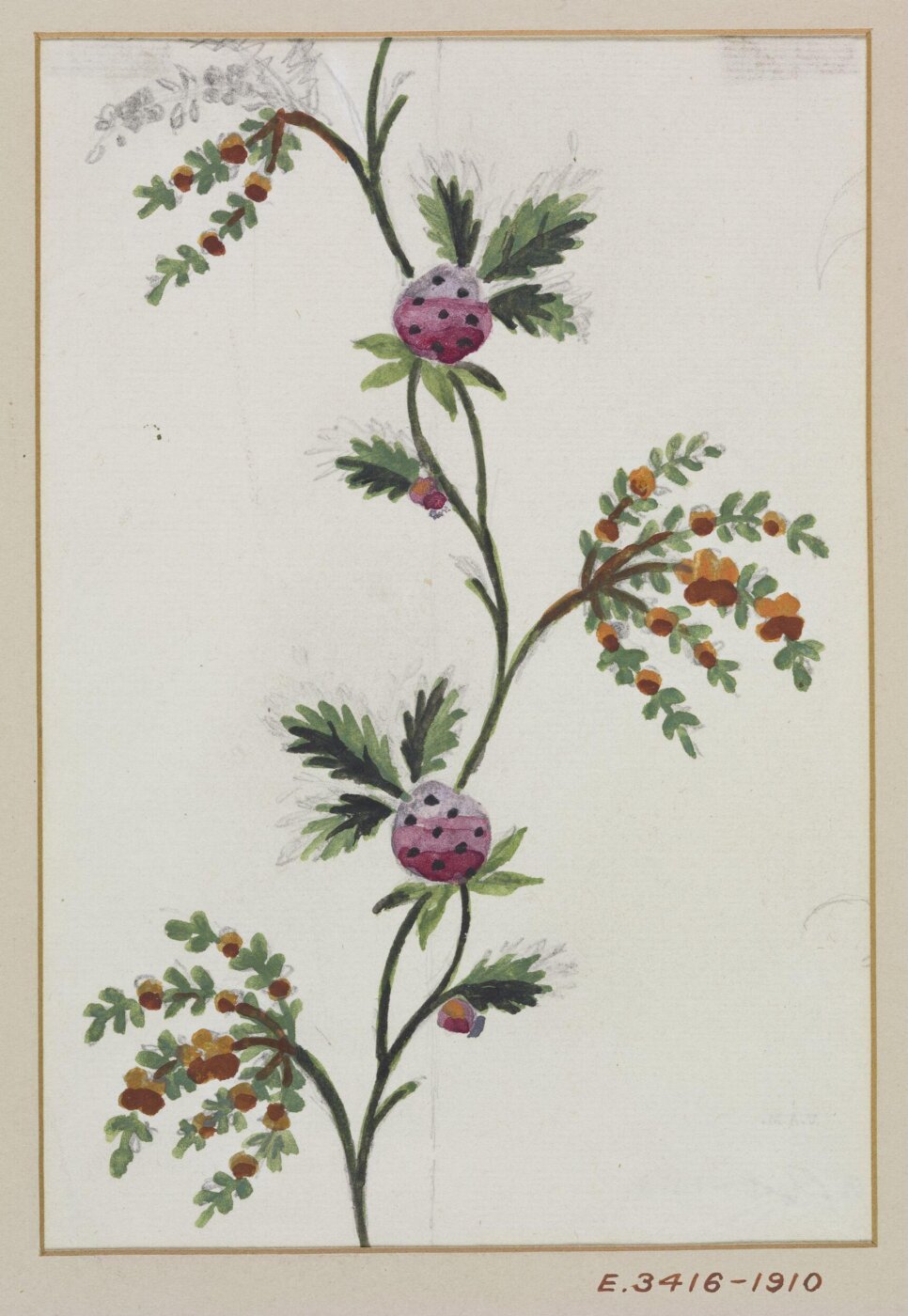 Unknown, Drawing