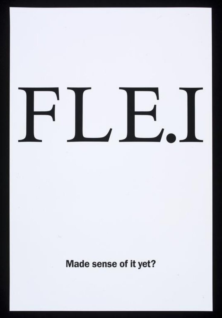 FLE.I. Made sense of it yet? top image