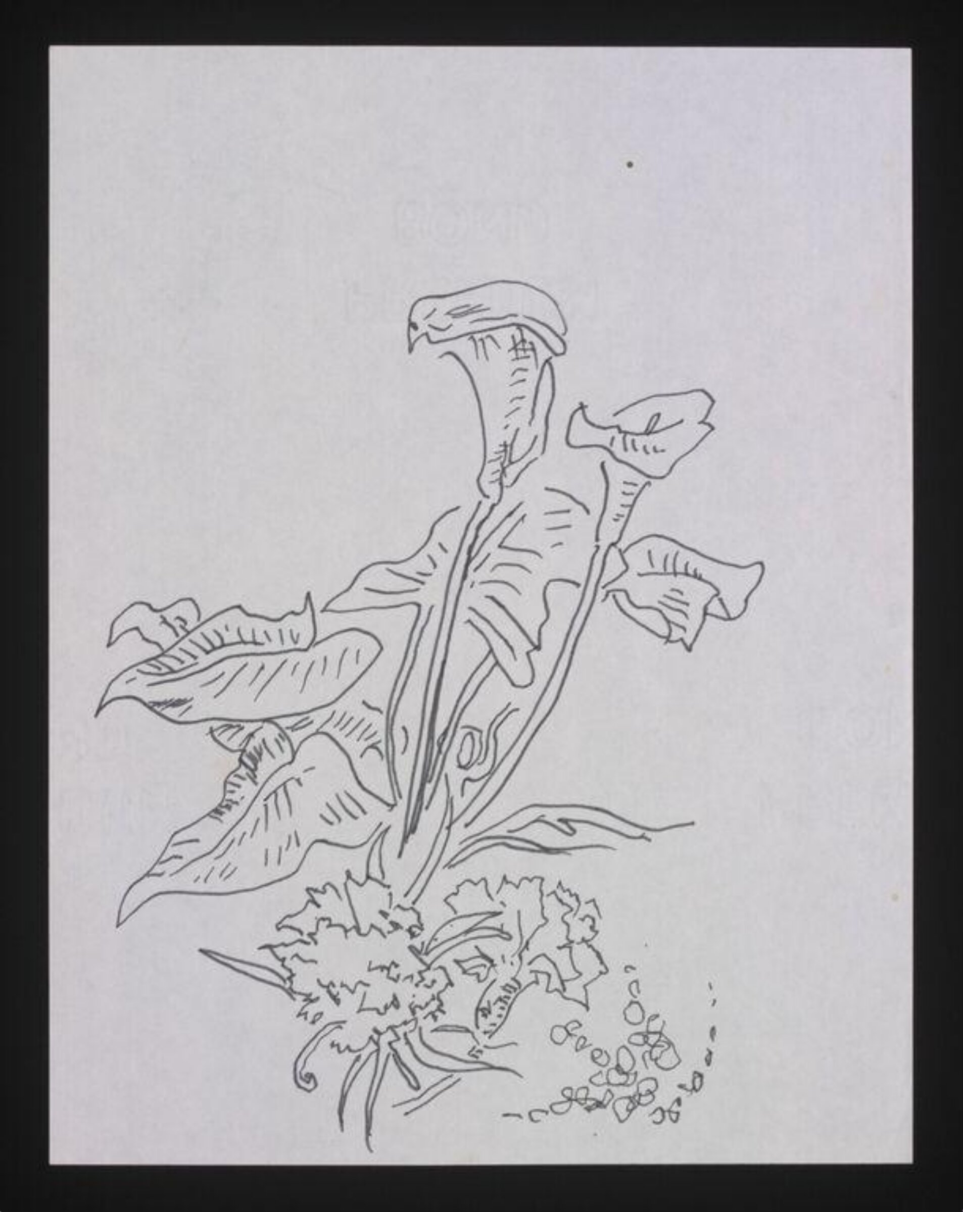 Drawing, Cecil Beaton, ca.1940-1960
