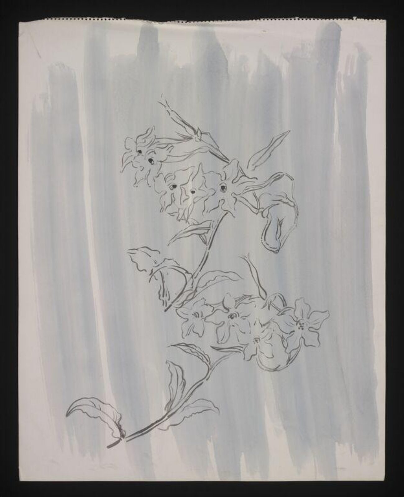 Drawing, Cecil Beaton, 1940-50