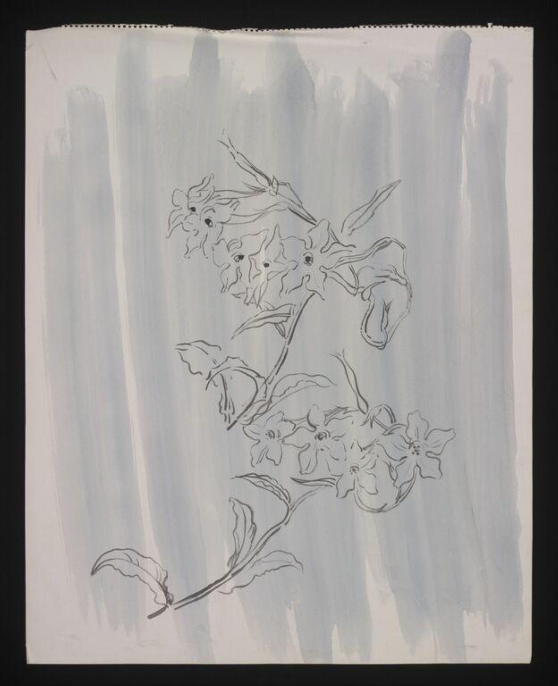 Drawing, Cecil Beaton, 1940-50