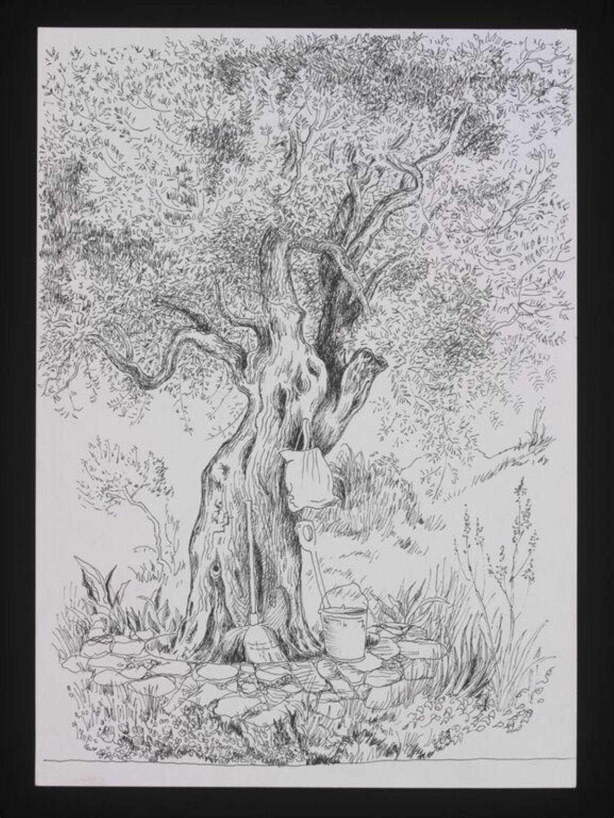Drawing of Trees, Cecil Beaton, 20th century