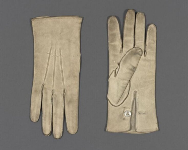 Pair of Gloves top image