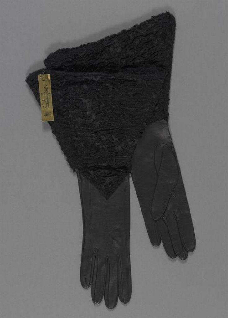 Pair of Gloves top image