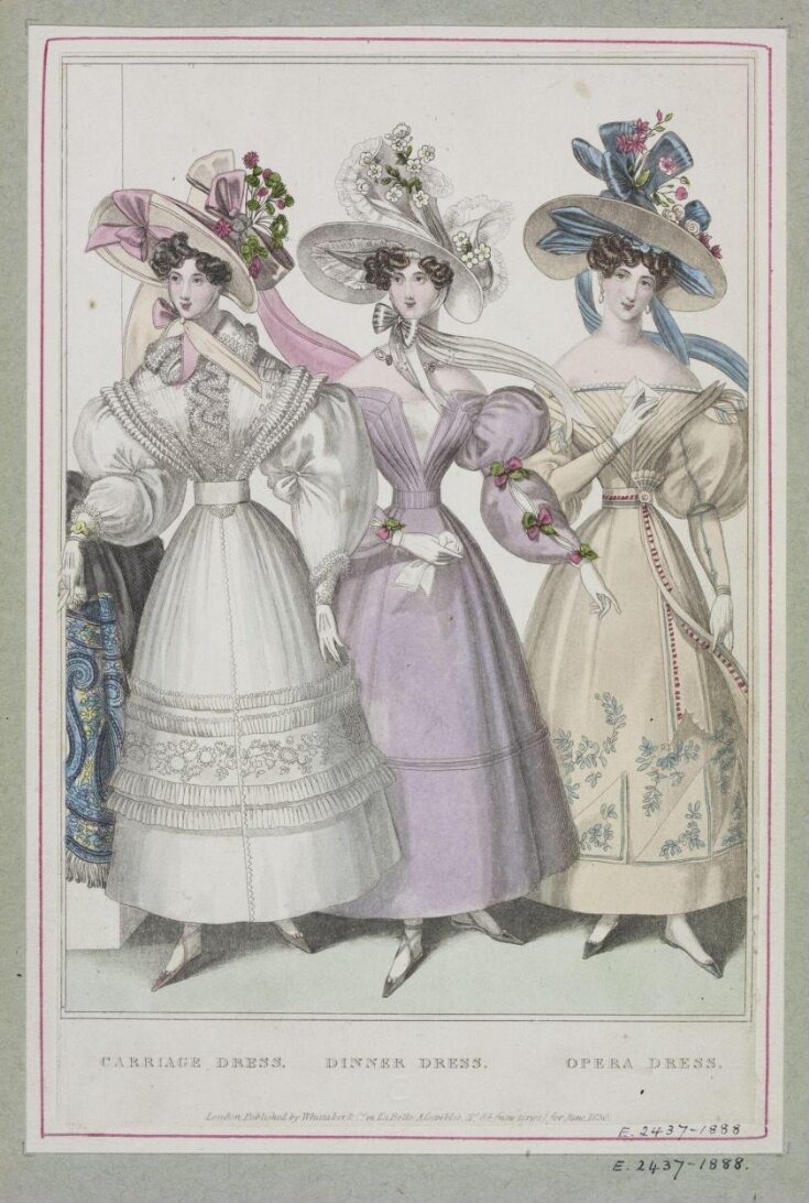 Fashion Plate top image