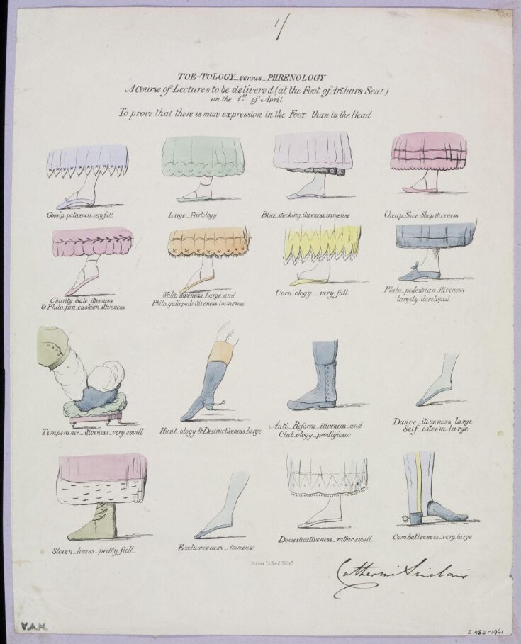 Toe-Tology versus Phrenology top image