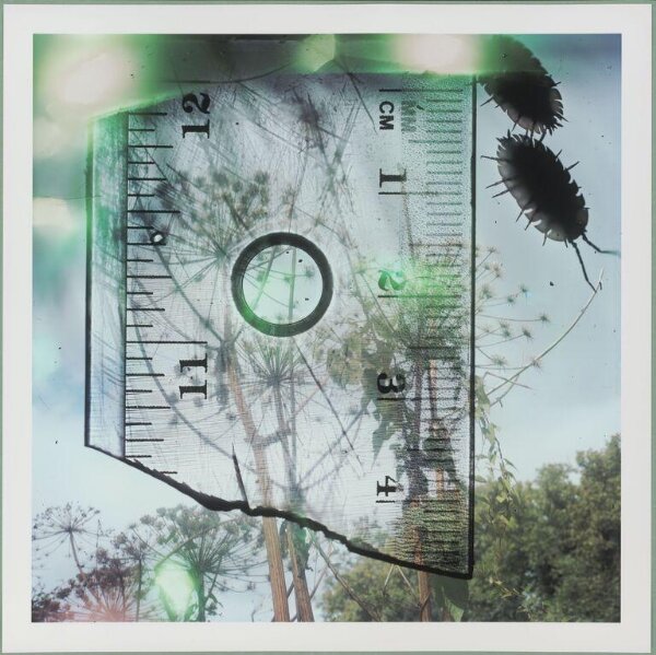 Talking to Ants | Stephen Gill | V&A Explore The Collections