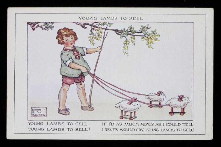 Young Lambs to Sell