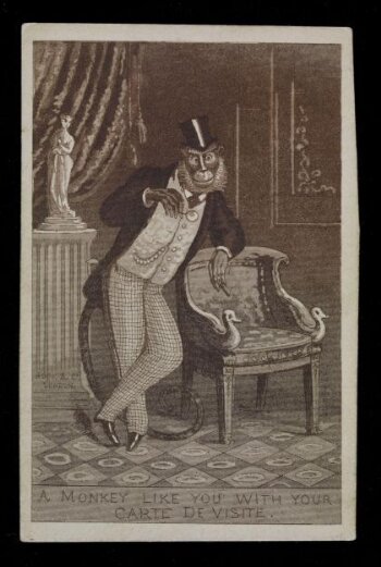 A Monkey like you with your Carte de Visite