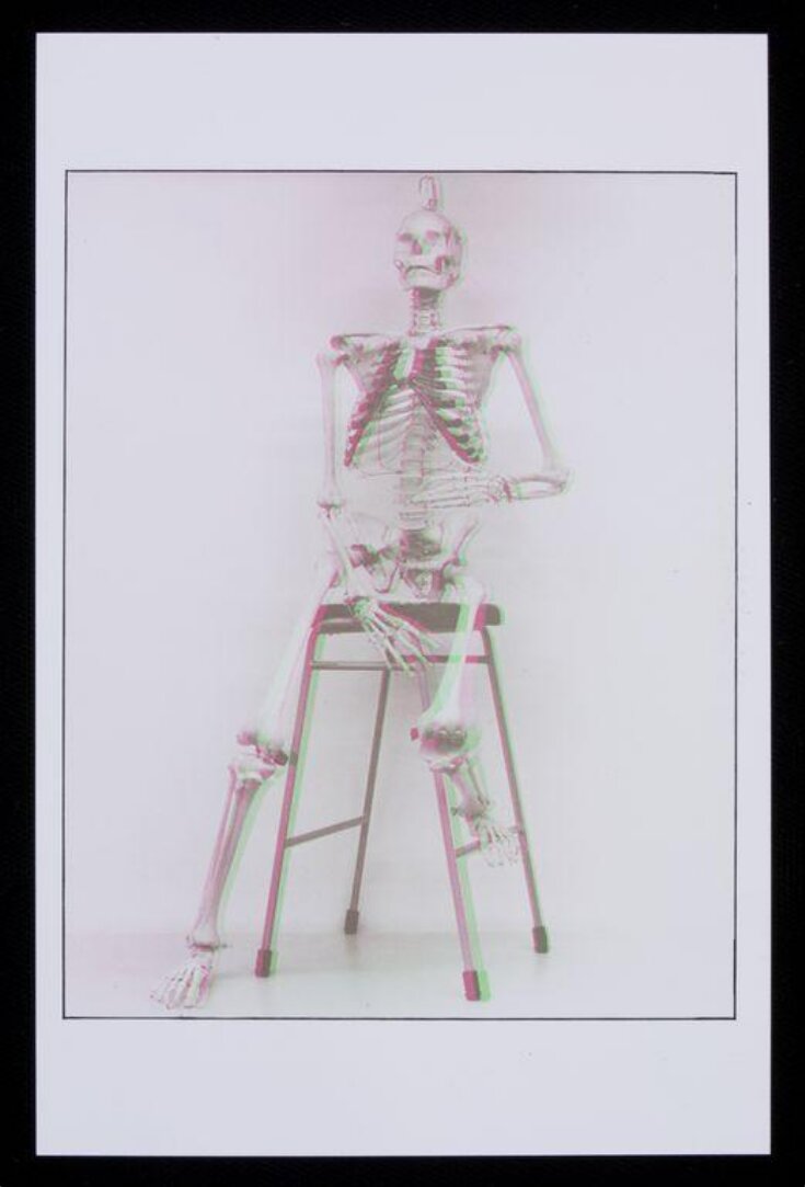 Skeleton top image