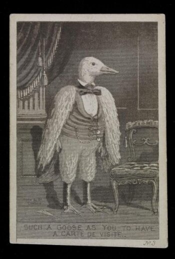 Such a Goose as you to have a Carte de Visite