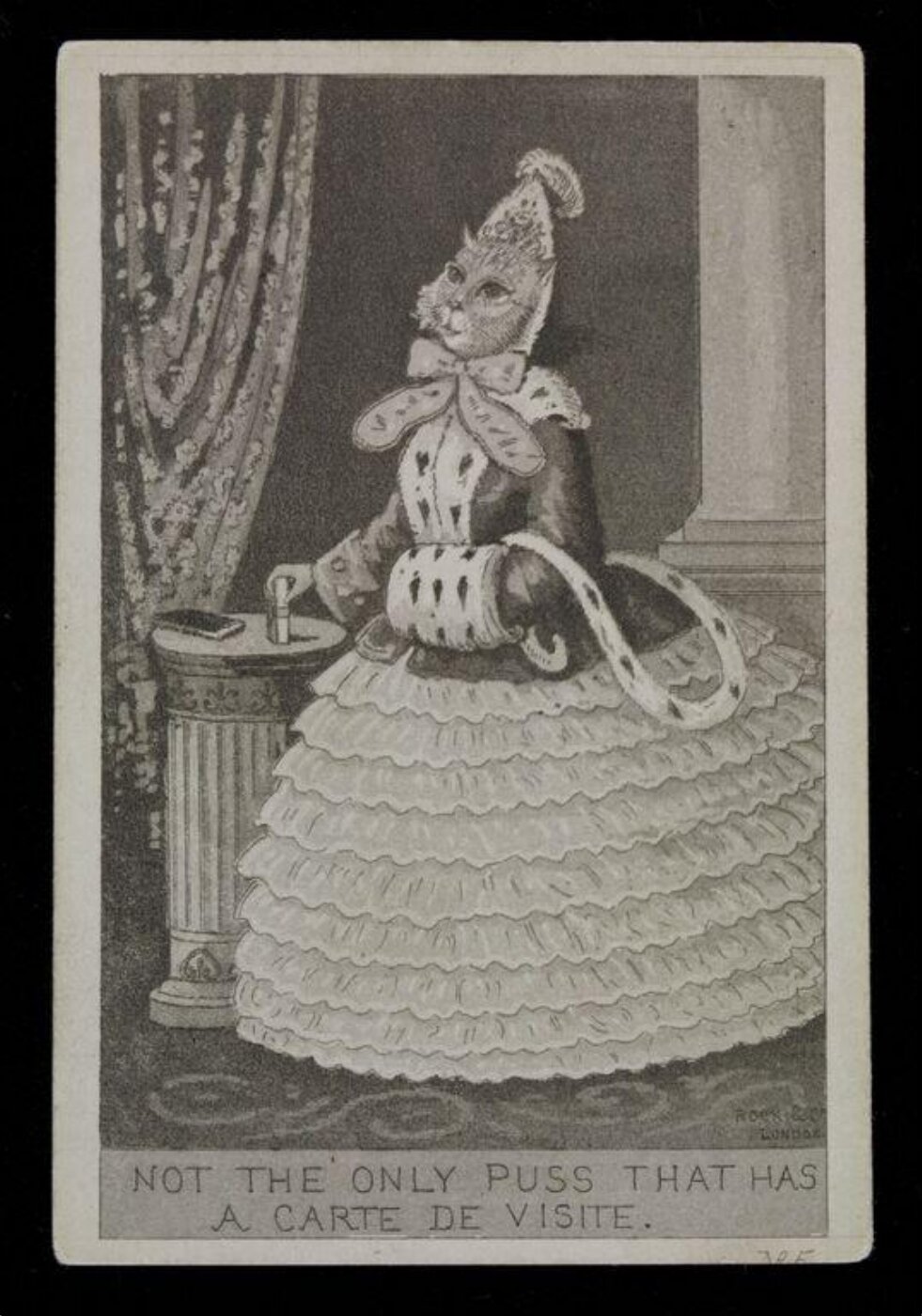 Unknown, Not the only Puss that has a Carte de Visite