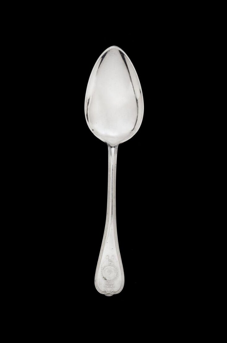 Table Spoon top image
