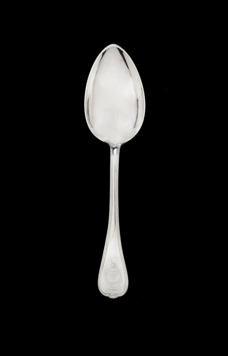 Table Spoon top image