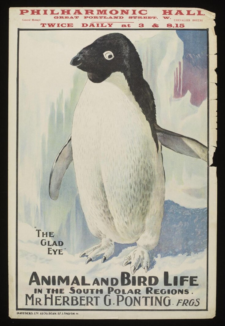Animal and Bird Life in the South Polar Regions image