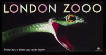 London Zooo. More zooo than you ever knew.