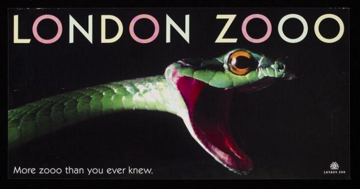 London Zooo. More zooo than you ever knew. image