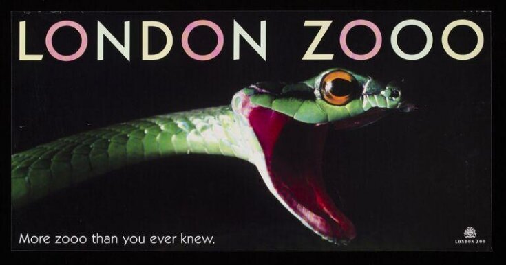 London Zooo. More zooo than you ever knew. top image