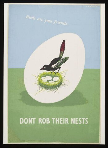 Birds are your friends don't rob their nests