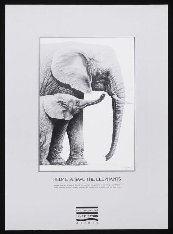 Help Save the Elephants