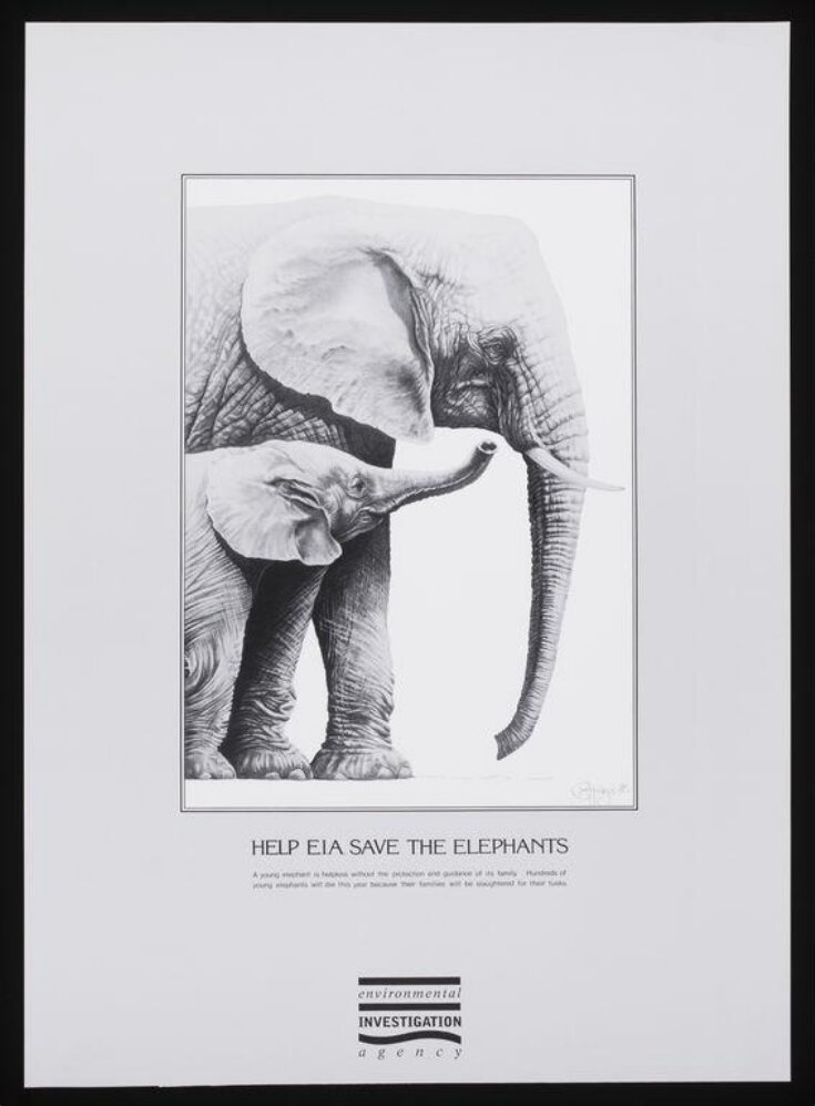 Help Save the Elephants image