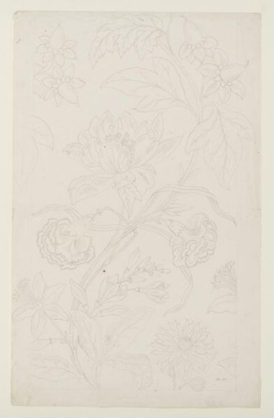 Dunfermline Damask