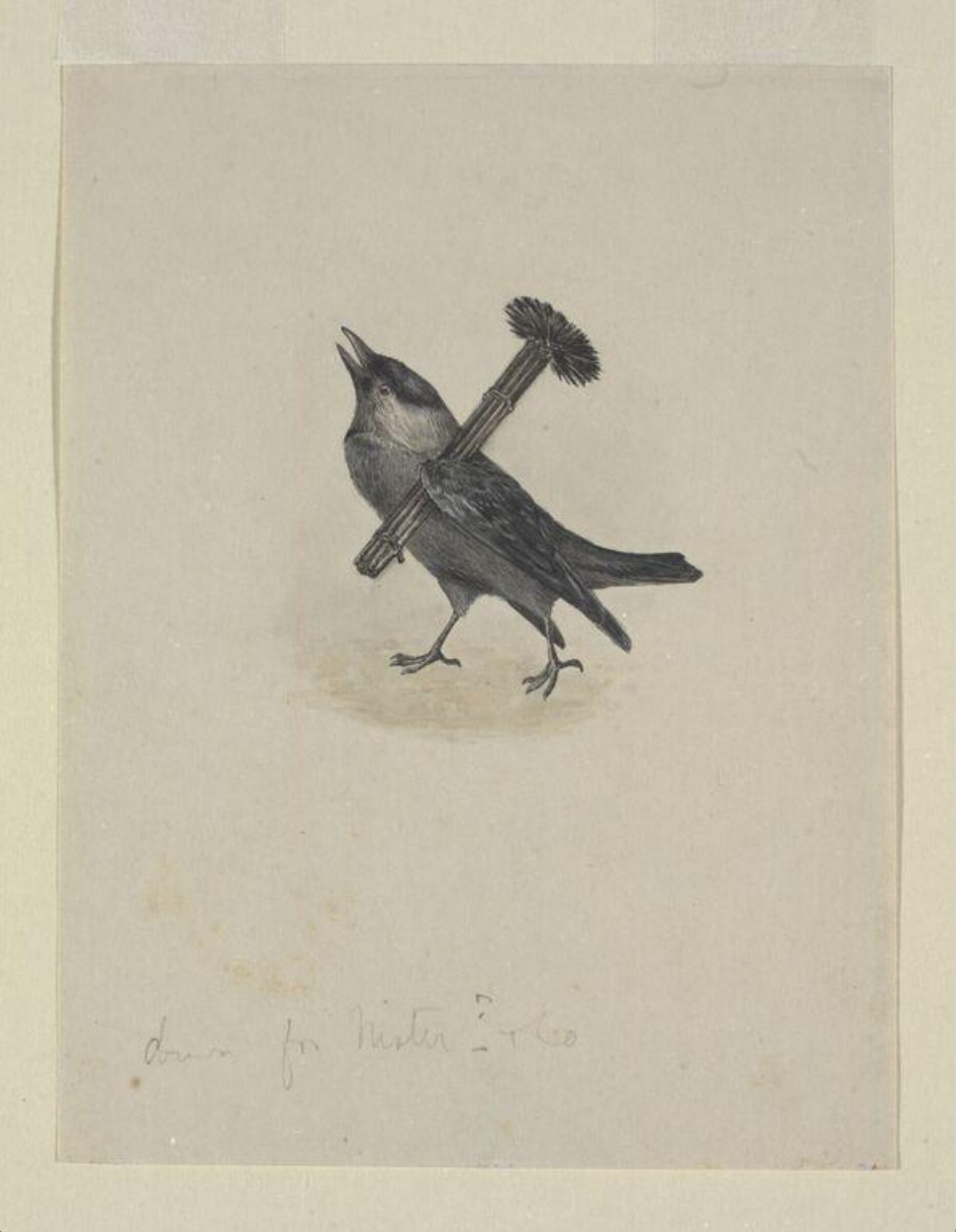 Jackdaw Sweep, Beatrix Potter, 30 July 1892