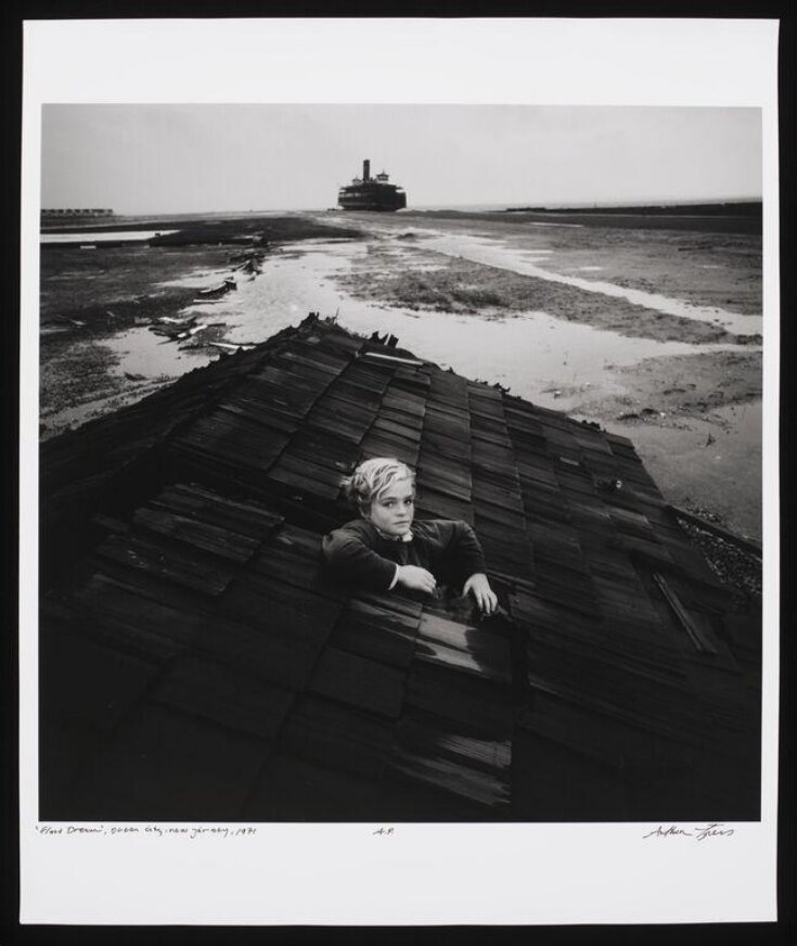 Flood Dream, Ocean City, New Jersey top image