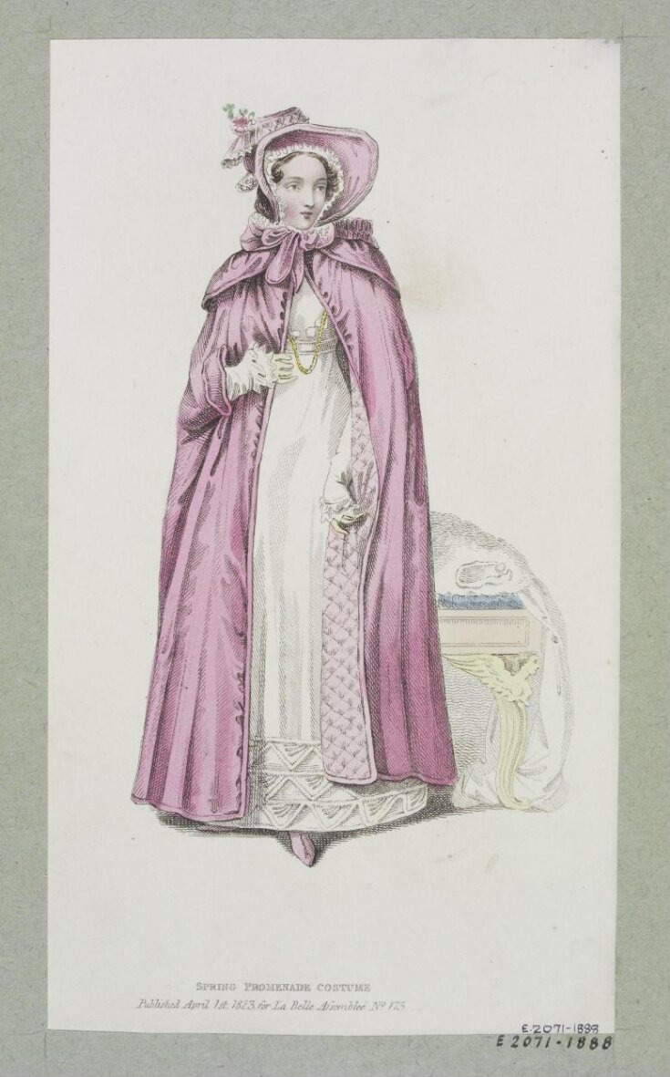 Fashion Plate top image