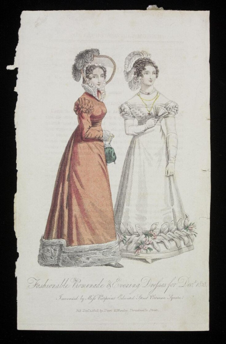 Fashion Plate top image