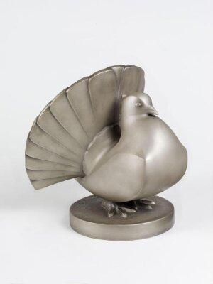 Fan-tailed Pigeon