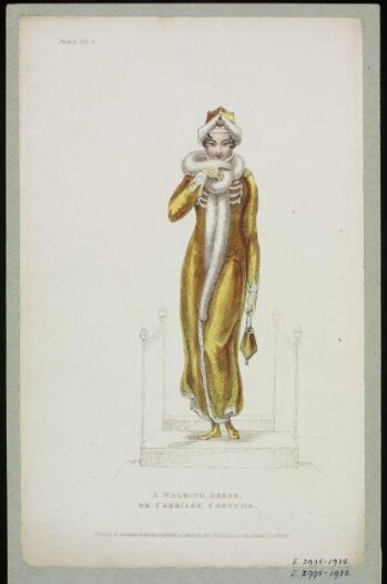 A Walking Dress or Carriage Costume