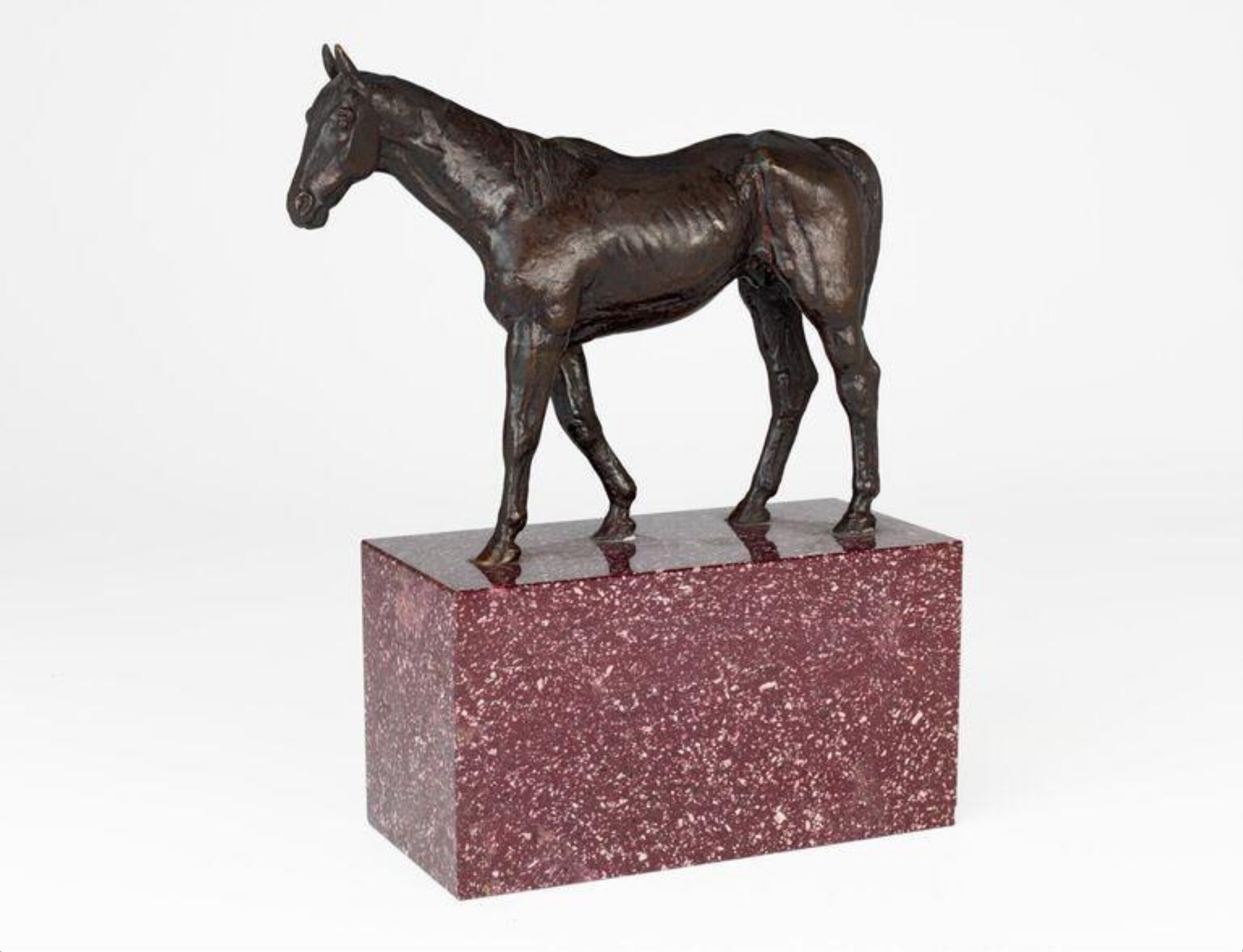 Thoroughbred Horse (Polymelus), Herbert Haseltine, 1925