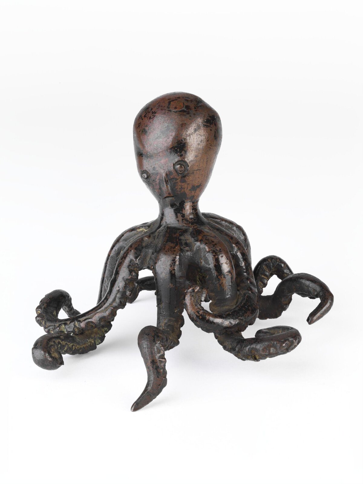 Octopus, ca. 1550-1600