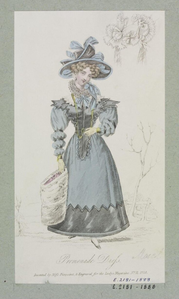 Fashion Plate top image